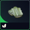 MMOJUGG ARC Raiders Agave * 10 Details View of Item Function and Use