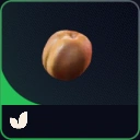 MMOJUGG ARC Raiders Apricot * 10 Details View of Item Function and Use