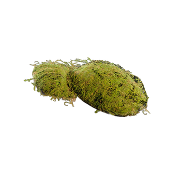 MMOJUGG ARC Raiders Moss * 10 Details View of Item Function and Use