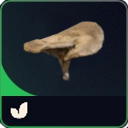 MMOJUGG ARC Raiders Mushroom * 10 Details View of Item Function and Use