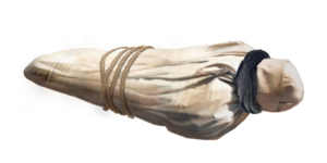 MMOJUGG Dune Awakening Corpse * 10 Details View of Item Function and Use