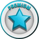 MMOJUGG Brookhaven RP Premium Buying Page Display