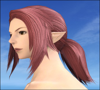 Check Unique Hairstyles In Ffxiv
