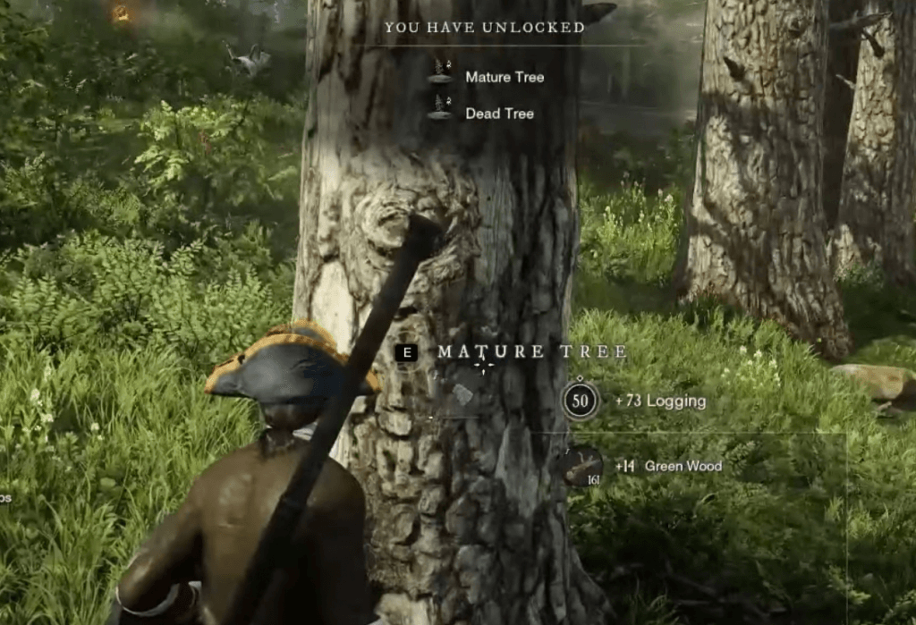 New World Logging Guide